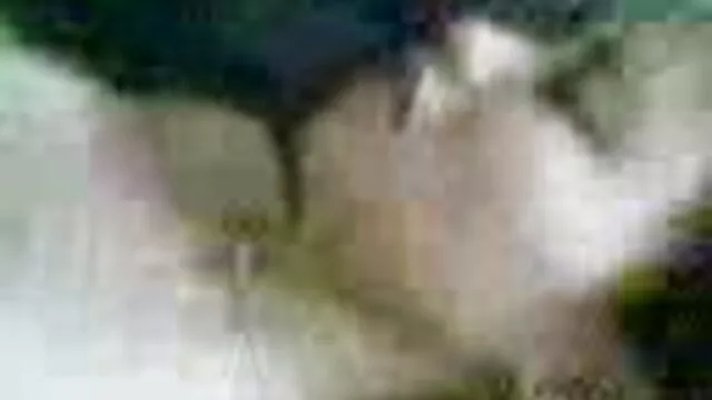 baise clip porno gratuit moi fort